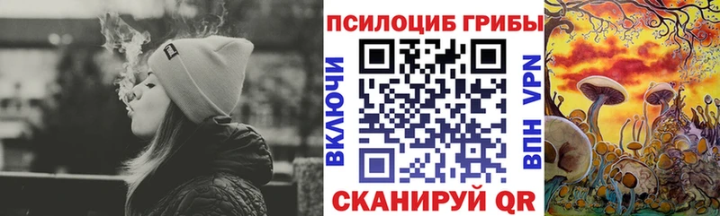 кракен онион  купить наркотики сайты  Николаевск  Галлюциногенные грибы прущие грибы 
