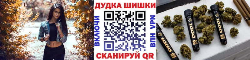 наркошоп  Николаевск  Конопля гибрид 